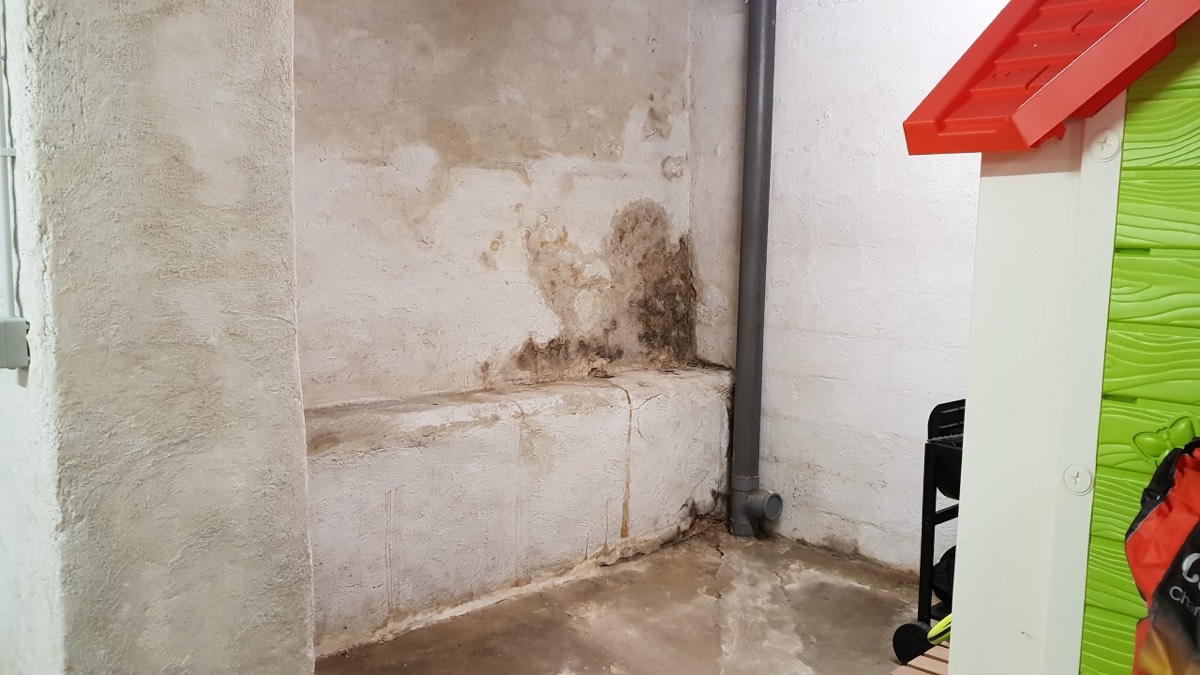 Infiltrations d'eau - Expertise humidité à Orléans